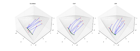 Geodesic projections used in the CorSW framework